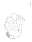 L_W23Od0126 A01q894.1 xxxx xx si